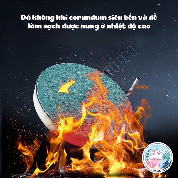 Đĩa Sủi Oxy Bể Cá Siêu Mịn Yee 🐟 FREESHIP 🐟 Cốc Sủi Oxy Air Pan Siêu Êm Yee Đầy Đủ Phụ Kiện