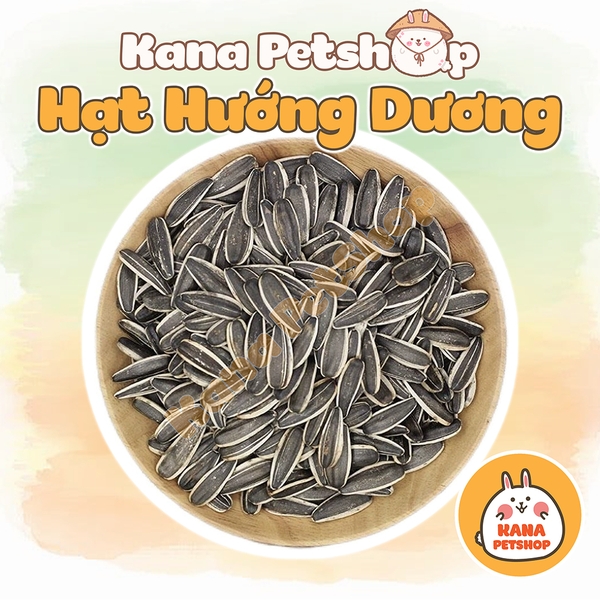 Hạt Hướng Dương 🐹FREESHIP🐹 100G Hạt Hướng Dương Lớn - Nhỏ Cho Hamster , Sóc , Chim , Vẹt .....