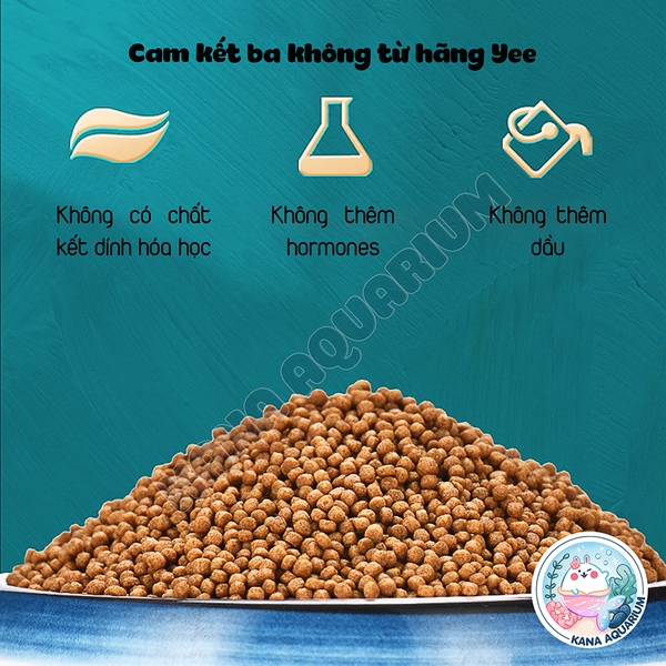 Cám Cá Betta Yee Fighting Fish 🐟 FREESHIP 🐟 Thức Ăn Đặc Biệt Cân Bằng Dinh Dưỡng Thúc Size Kích Màu