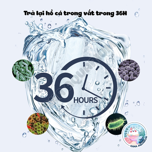 Chế Phẩm Sinh Học Nitrifier 🐟 FREESHIP 🐟 Xử Lý Nước Tối Ưu Giúp Hồ Cá Trong Vắt Khử Độc Nitrat Hoá