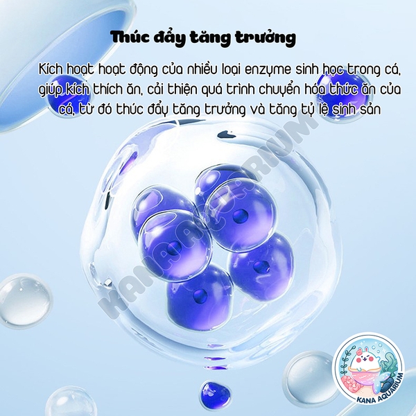Vitamin Tổng Hợp Cho Cá🐟 FREESHIP 🐟Vitamin Amino Acids Hỗ Trợ Tiêu Hóa Tăng Sức Đề Kháng Giảm Stress