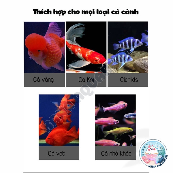Chế Phẩm Sinh Học Yee White Spot Phòng Nấm Trắng Cho Cá 🐟 FREESHIP 🐟Hiệu Quả Ngay Từ Lần Đầu Sử Dụng
