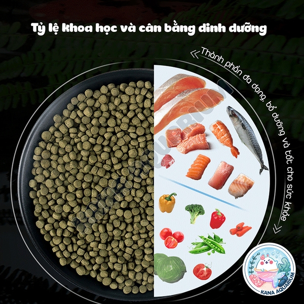 [Hạt nổi] Cám Cá Chép Sư Tử Bessn Butterfly 🐟FREESHIP🐟 Thức Ăn Lên Màu Cá Giàu Đạm Tảo Xoắn Vitamin