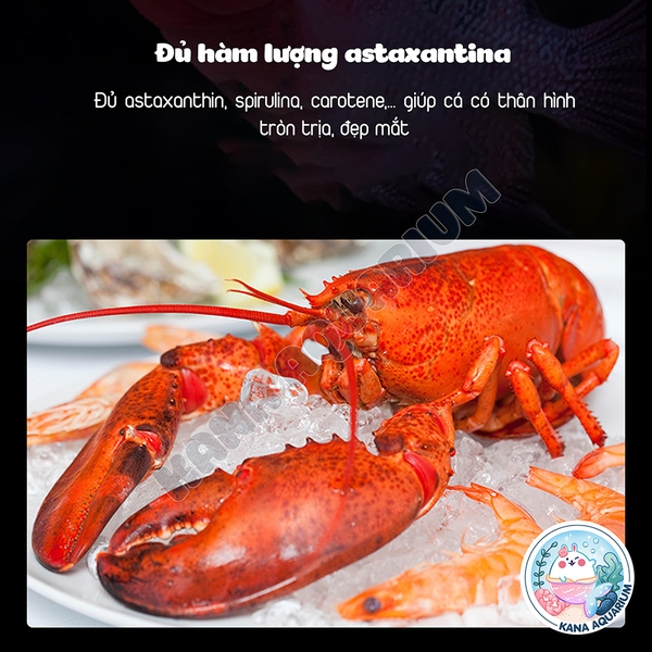 Cám cá La Hán 🐟 FREESHIP 🐟 Thức ăn BESSN Flower Horn - Tăng trọng, Tăng đầu, Lên Màu Cho Cá