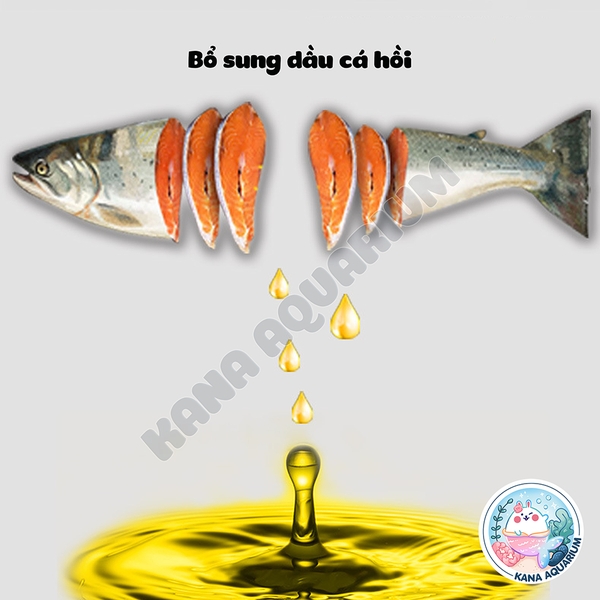 Cám Cá Tai Tượng BESSN Astronotus 🐟 FREESHIP 🐟 Hỗ Trợ Lên Màu Giàu Đạm Vitamin Cá Tai Tượng Châu Phi