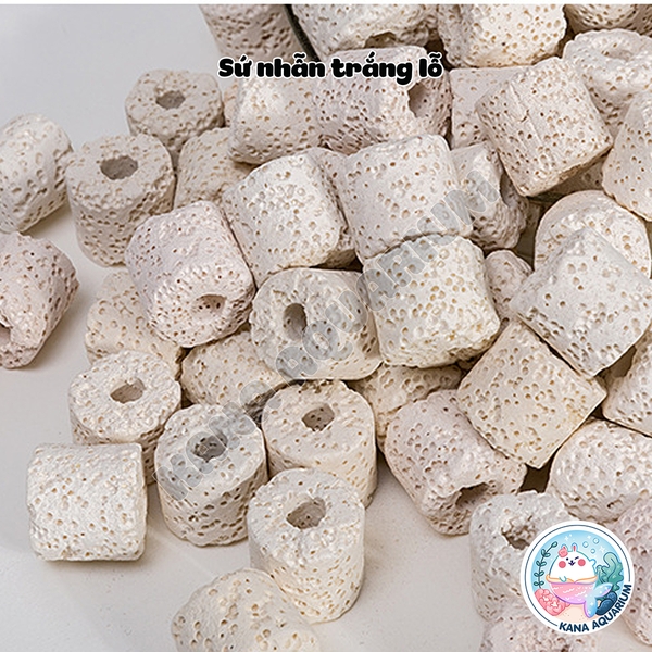 [100gr] Sứ Lọc Hồ Cá Các Loại 🐟 FREESHIP 🐟 Viên Sứ Lọc Xử Lý Nước Bể Cá Phụ Kiện Thủy Sinh Cá Cảnh