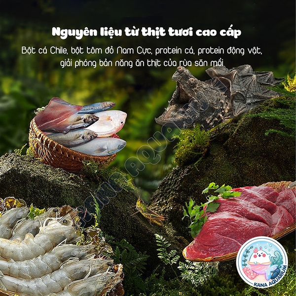 Thức Ăn Rùa Cảnh 🐟 FREESHIP 🐟 Yee Turtle Feed Dinh Dưỡng Phát Triển Khỏe Mạnh Mai Rùa Đẹp Tự Nhiên