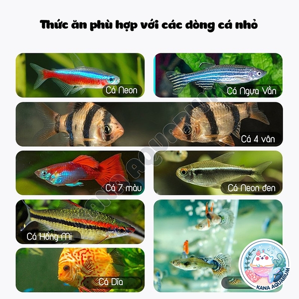 Thức Ăn Cá Neon - Cám Cá Nhỏ 🐟 FREESHIP 🐟 Yee FishFood Giúp Cá Cân Bằng Dinh Dưỡng Lên Màu Siêu Đẹp