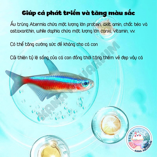 Thức Ăn Cá Neon - Cám Cá Nhỏ 🐟 FREESHIP 🐟 Yee FishFood Giúp Cá Cân Bằng Dinh Dưỡng Lên Màu Siêu Đẹp