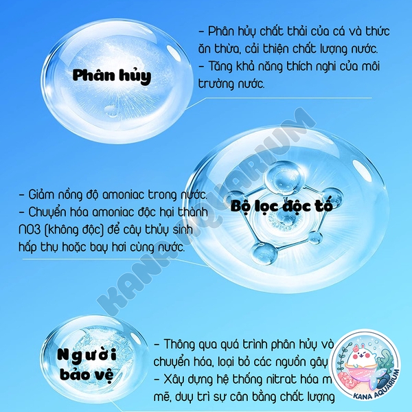 Viên Vi Sinh Nitrat Yee Cô Đặc 🐟 FREESHIP 🐟 Giải Pháp Giảm Mùi Tối Ưu Cho Bể Cá Cảnh và Thủy Sinh