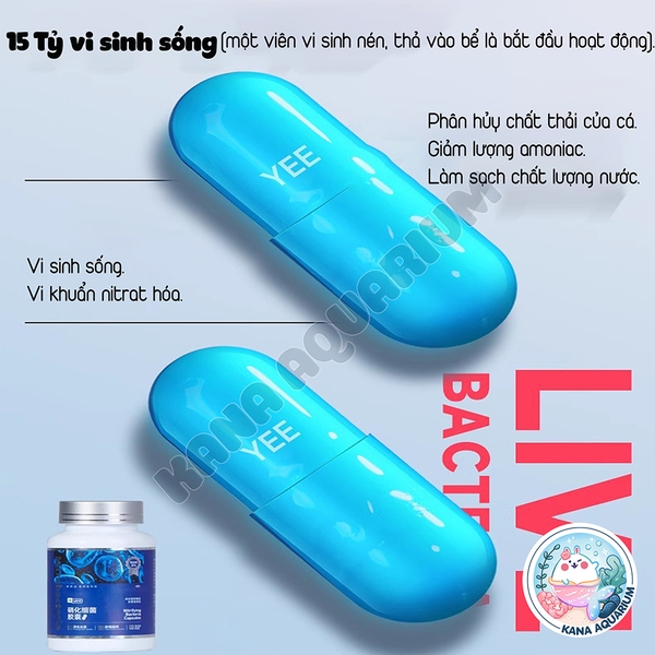 Viên Vi Sinh Nitrat Yee Cô Đặc 🐟 FREESHIP 🐟 Giải Pháp Giảm Mùi Tối Ưu Cho Bể Cá Cảnh và Thủy Sinh