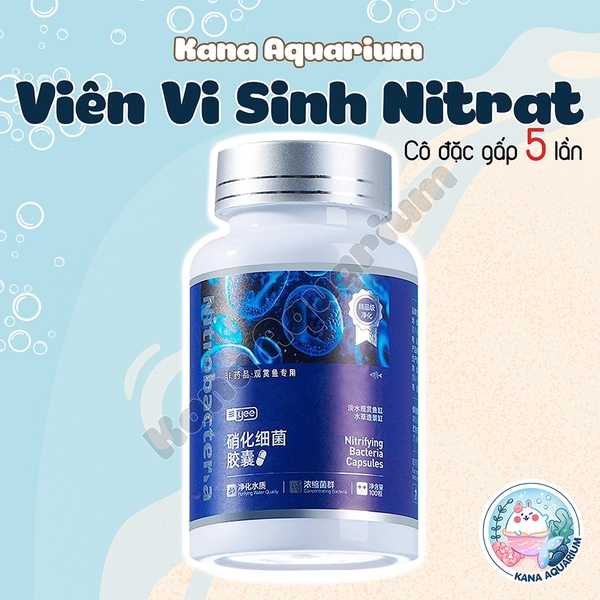Viên Vi Sinh Nitrat Yee Cô Đặc 🐟 FREESHIP 🐟 Giải Pháp Giảm Mùi Tối Ưu Cho Bể Cá Cảnh và Thủy Sinh