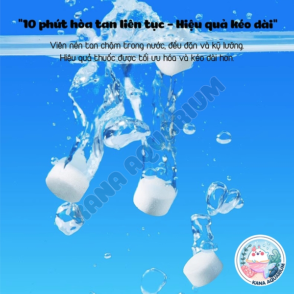 [Hộp 100V] Viên Khử Clo Nước Máy Yee 🐟 FREESHIP 🐟 Viên Nén Fish Lebao Ổn Định Ph Khử Clo Bể Cá Cảnh