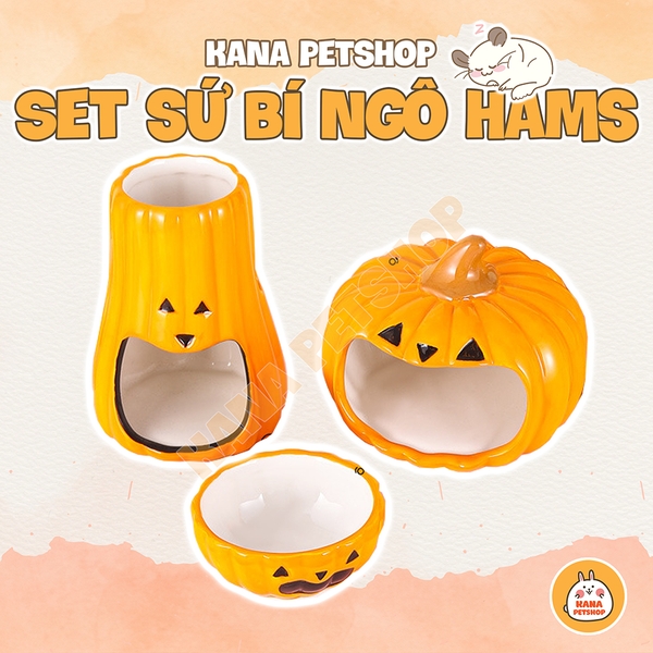 Set Nhà Sứ Hình Bí Ngô Đáng Yêu Cho Hamster 🐹FREESHIP🐹 Giảm Nhiệt, Trang Trí Độc Đáo Lồng Hamster
