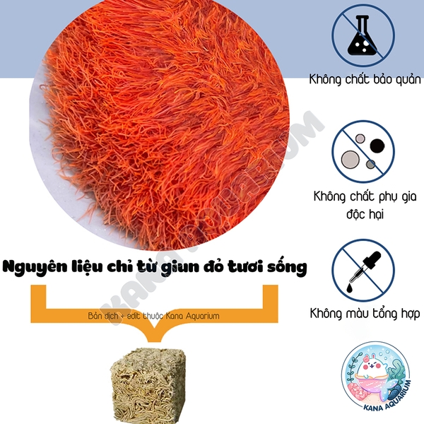 [Hộp 500ml] Trùng Chỉ Đông Khô Voonline Tubificidae 🐟 FREESHIP 🐟 Trùn Chỉ Thức Ăn Cho Cá Cảnh