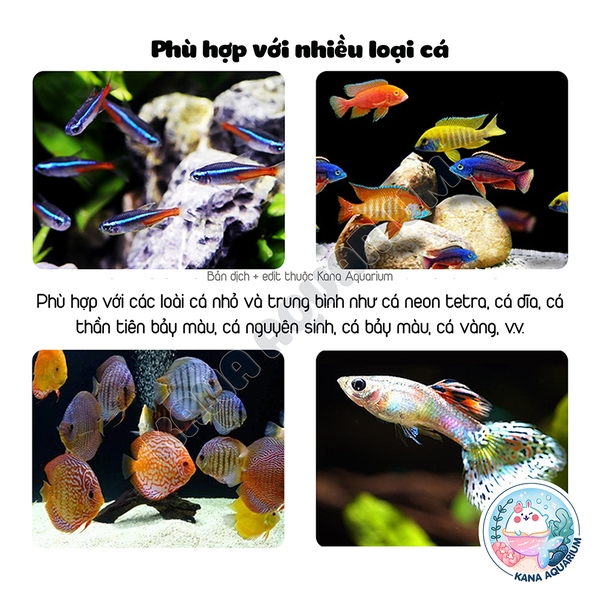 [Hộp 500ml] Trùng Chỉ Đông Khô Voonline Tubificidae 🐟 FREESHIP 🐟 Trùn Chỉ Thức Ăn Cho Cá Cảnh