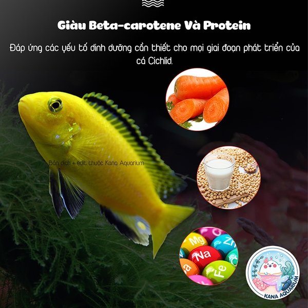 Thức Ăn Cá Ali BESSN 🐟FREESHIP🐟 Cám Cá Cichlidae Bổ Sung Dầu Cá Tảo Xoắn Phát Triển Tăng Màu Rực Rỡ