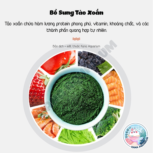 Thức Ăn Cá Ali BESSN 🐟FREESHIP🐟 Cám Cá Cichlidae Bổ Sung Dầu Cá Tảo Xoắn Phát Triển Tăng Màu Rực Rỡ