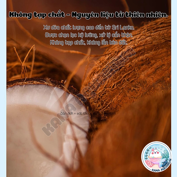 Gạch Xơ Dừa Nén YEE 𝐂𝐨𝐜𝐨𝐧𝐮𝐭 . Lót Chuồng Bò Sát, Rùa, Thằn Lằn, Lưỡng Cư, Tự Nhiên Không Tạp Chất