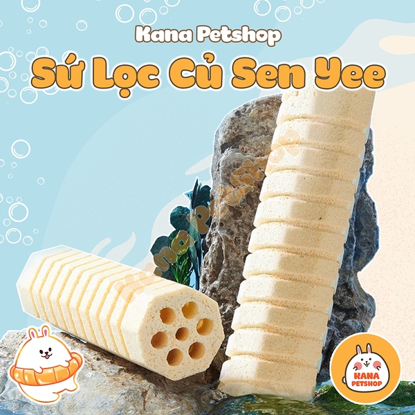 Sứ Lọc Củ Sen Yee 🐟 FREESHIP 🐟 Vật Liệu Lọc Cao Cấp Cho Hồ Cá , Bể Cá Giúp Bổ Sung Khoáng Chất
