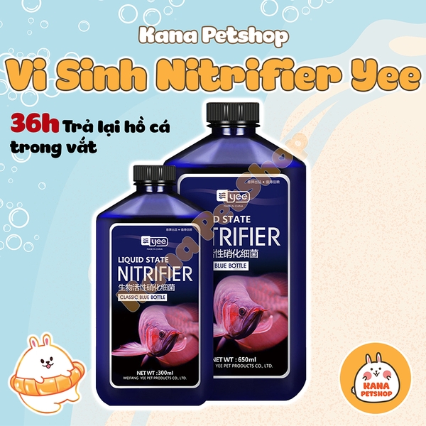 Chế Phẩm Sinh Học Nitrifier 🐟 FREESHIP 🐟 Xử Lý Nước Tối Ưu Giúp Hồ Cá Trong Vắt Khử Độc Nitrat Hoá