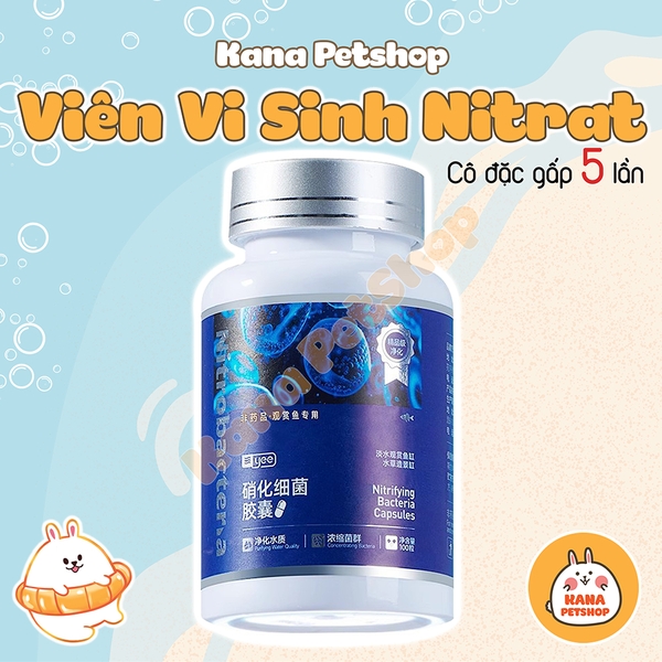Viên Vi Sinh Nitrat Yee Cô Đặc 🐟 FREESHIP 🐟 Giải Pháp Giảm Mùi Tối Ưu Cho Bể Cá Cảnh và Thủy Sinh