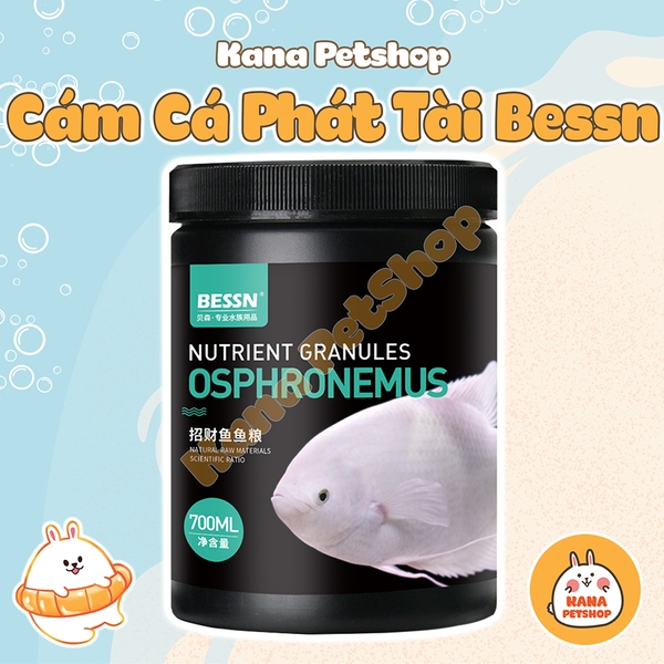 Cám Bessn Osphronemus thức ăn giàu đạm và tảo xoắn cho cá phát tài