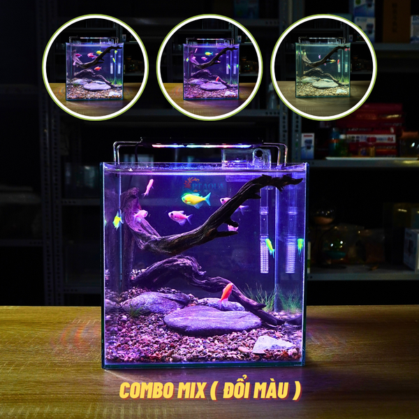 Bể cá mini CUBIC 25cm để bàn
