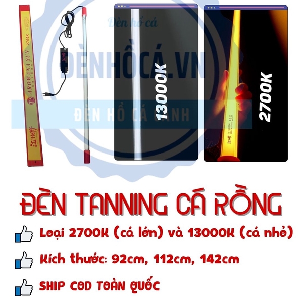 [Mã PET80K giảm 8% tối đa 80K đơn 350K] Đèn hồ cá, đèn cá rồng chuyên Tanning cá rồng Rồng, Quá Bối