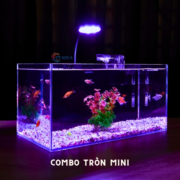 Bể cá mini 40x20x20cm Nhiều Mẫu Để Bàn Đẹp Phù Hợp Nuôi Cá Cảnh Nhỏ