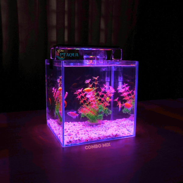 Bể cá mini để bàn CUBIC 20 combo nhiều mẫu nhỏ xinh phù hợp nuôi cá cảnh để bàn