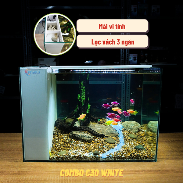 Bể Cá Mini Lọc Vách Kích Thước 50x33x35cm Để Bàn Đầy Đủ Phụ Kiện Có Sẵn Bơm và Vật Liệu Lọc