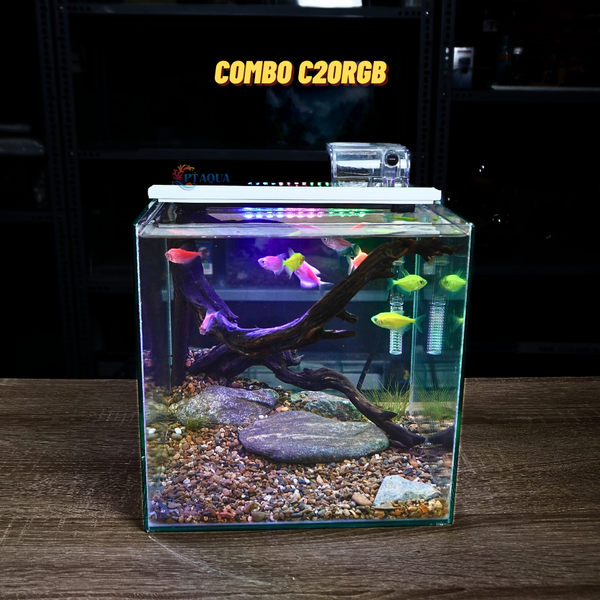 Bể cá mini CUBIC 25cm để bàn
