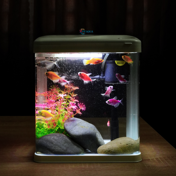 Bể Cá Mini Kính Đúc 20cm tích hợp LỌC và ĐÈN , Dài 20cm Rộng 15cm Cao 23cm