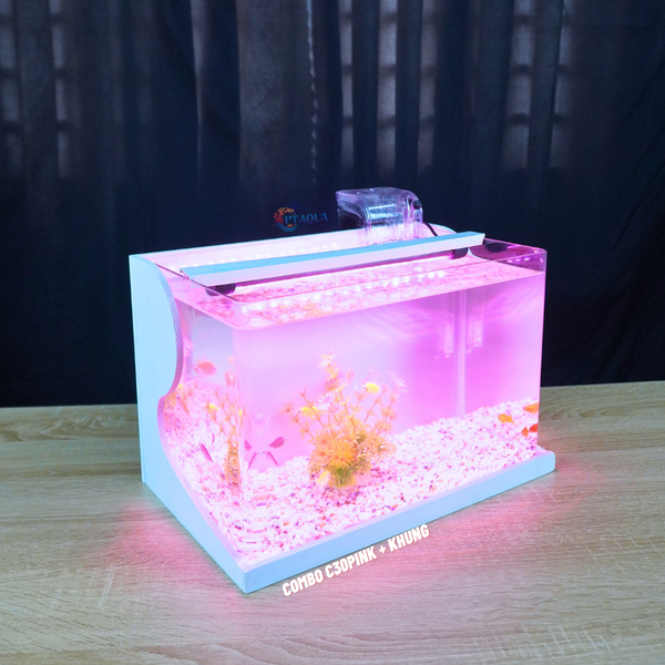 Bể cá mini Đúc uốn cong 40x24x25cm để bàn Với nhiều mẫu lựa chọn có kèm phụ kiện sỏi nền và cây nhựa