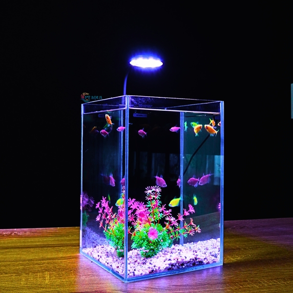 Bể Cá Mini PT AQUA 15x15x20cm Kính 5ly Phù Hợp Nuôi Cá Mini Để Bàn hoặc Làm Bể Thuỷ Sinh Mini Để Bàn