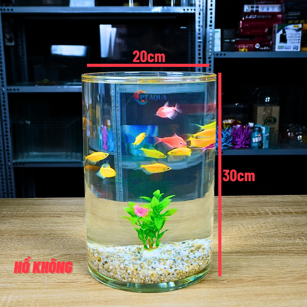 Bể cá mini tròn để bàn D20-H30cm chọn theo combo nhiều mẫu kèm phụ kiện