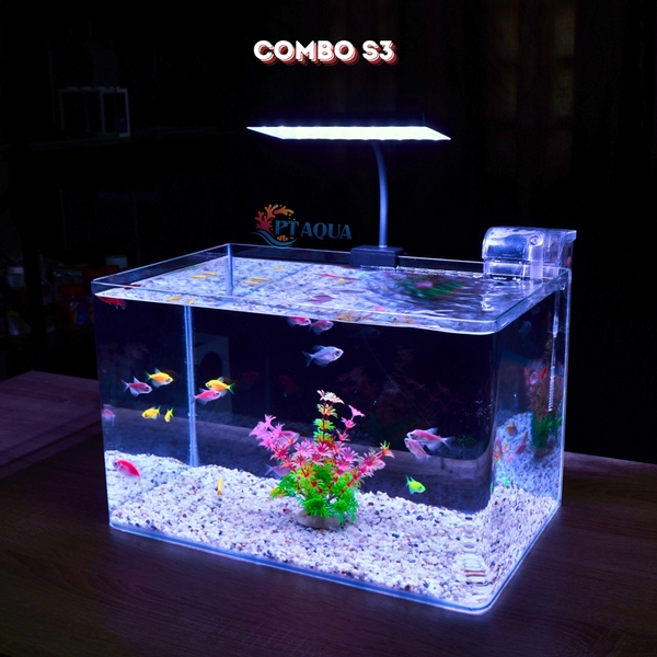 Bể cá mini Đúc uốn cong 35x21x23cm để bàn Với nhiều mẫu lựa chọn có kèm phụ kiện sỏi nền và cây nhựa