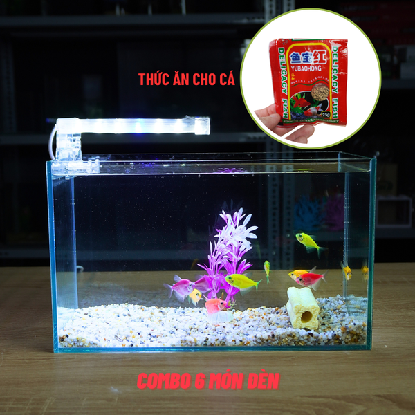 Bể cá mini COMBO Phụ kiện 5 món , 6 món , 7 món