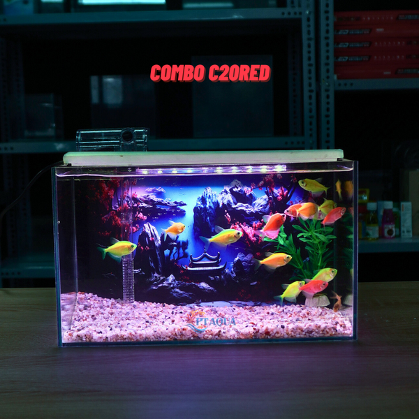 Bể Cá Mini Để Bàn Dán Sẵn Tranh Kích Thước 30x15x18cm Phù Hợp Nuôi Cá Cảnh Mini Để Bàn
