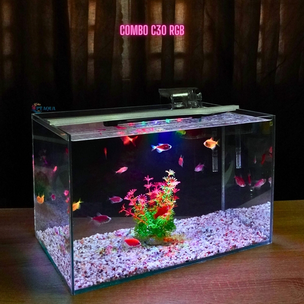Bể cá mini để bàn D40*R25*C25 phù hợp nuôi cá cảnh mini thủy sinh phong thủy