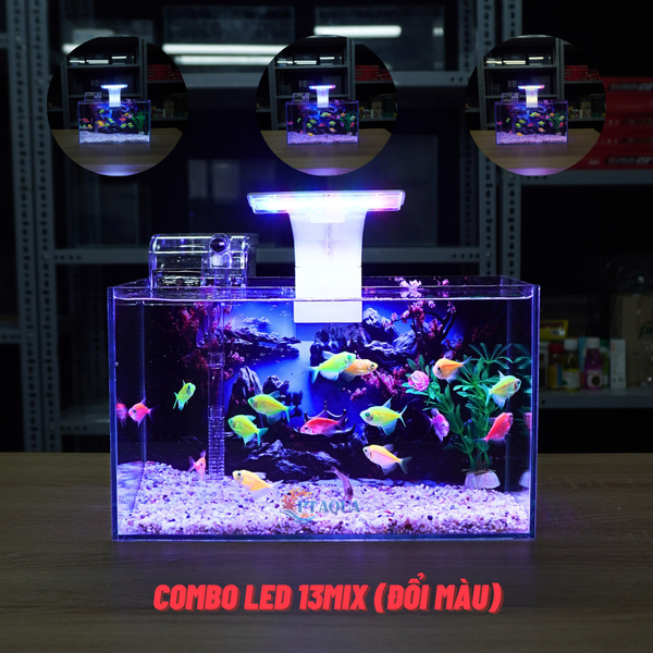 Bể Cá Mini Để Bàn Dán Sẵn Tranh Kích Thước 30x15x18cm Phù Hợp Nuôi Cá Cảnh Mini Để Bàn