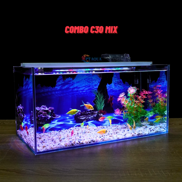 Bể cá Mini Để Bàn Có Tranh Dán  Kích Thước D40cm x R20cm x C20cm  Giúp Hồ Cá Đẹp Hơn