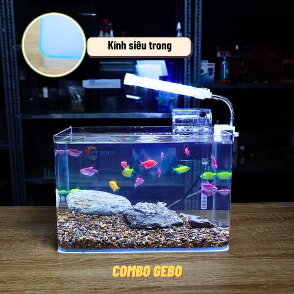 Bể Cá Mini Để Bàn ĐÚC SIÊU TRONG 30x18x20cm Phù Hợp Nuôi Cá , Làm Hồ Thuỷ Sinh Mini