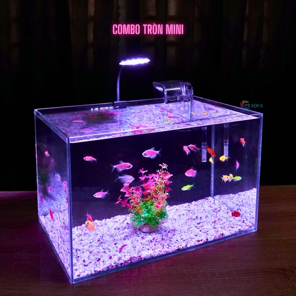 Bể cá mini để bàn D40*R25*C25 phù hợp nuôi cá cảnh mini thủy sinh phong thủy