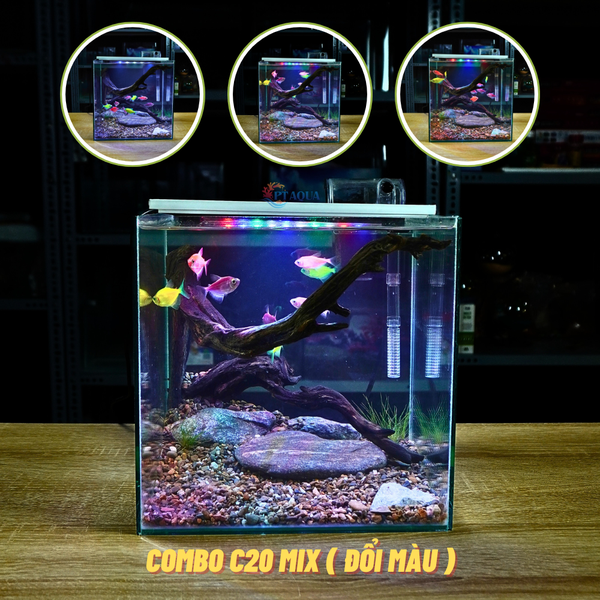Bể cá mini CUBIC 25cm để bàn