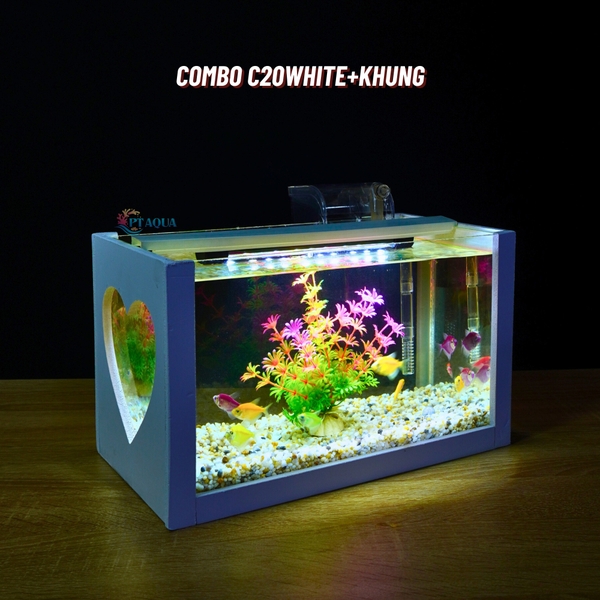 Bể cá mini để bàn COMBO giá rẻ đầy đủ phụ kiện