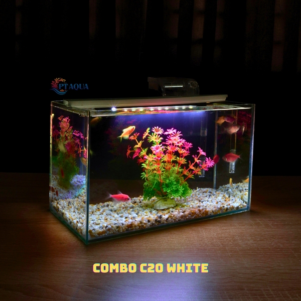 Bể Cá Mini Mài Cạnh Vi Tính Kích Thước 30x15x18cm - Thích Hợp Nuôi Cá Cảnh Để Bàn