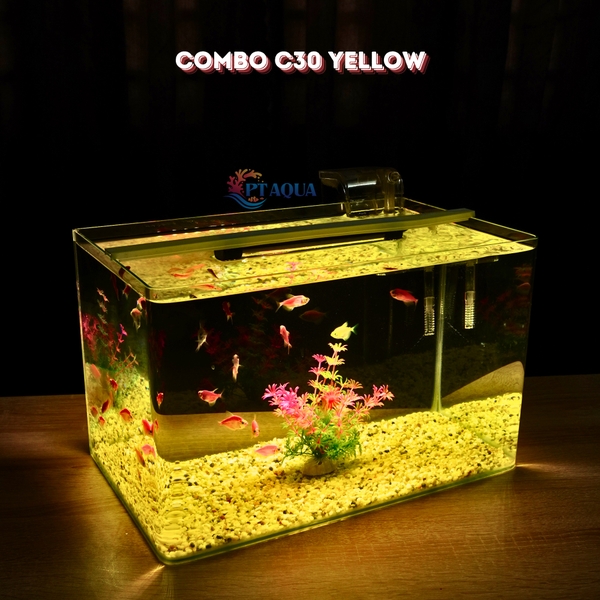 Bể cá mini Đúc uốn cong 35x21x23cm để bàn Với nhiều mẫu lựa chọn có kèm phụ kiện sỏi nền và cây nhựa