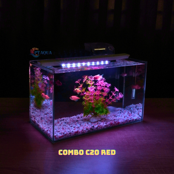 Bể cá mini để bàn COMBO giá rẻ đầy đủ phụ kiện